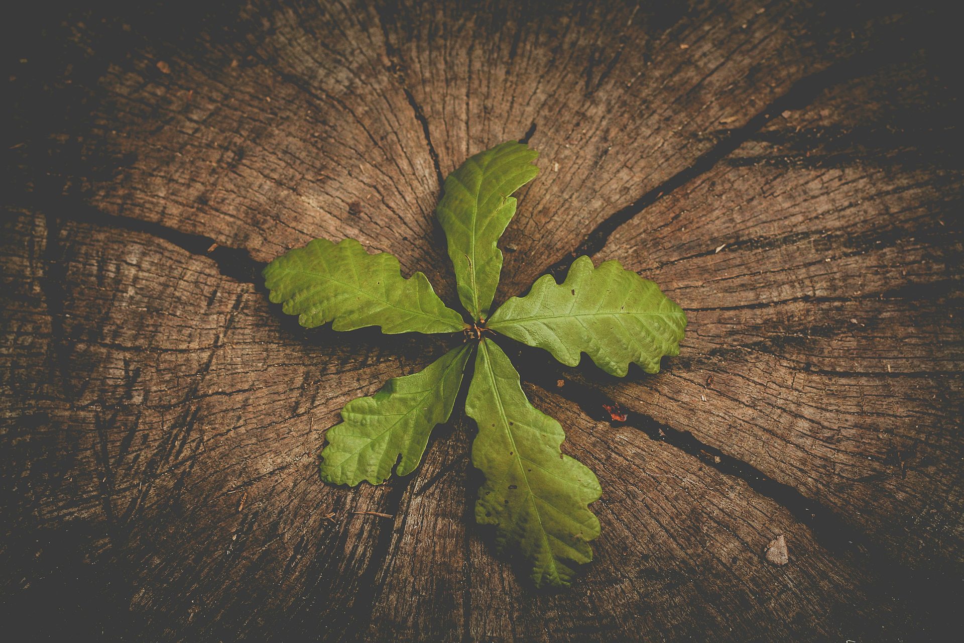 3 Underrated Ways to Grow a Newsletter Audience